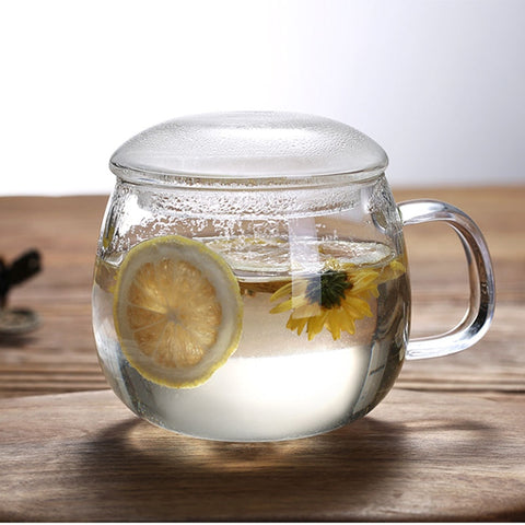 Heat Resistant High Temperature Explosion Proof Glass Tea Infuser