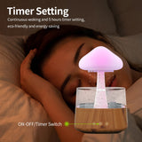 Zen Rain Humidifier