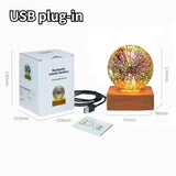 3D Firework Bear Light Luminous Bear Table Lamp or Night Light