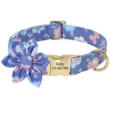 Personalised Collar and Lead Set