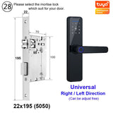 Raykube Biometric Fingerprint Door Lock