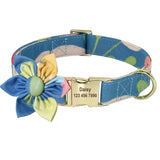 Personalised Collar and Lead Set