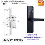 Raykube Biometric Fingerprint Door Lock