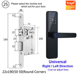 Raykube Biometric Fingerprint Door Lock