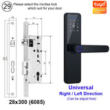 Raykube Biometric Fingerprint Door Lock