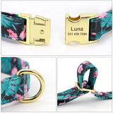 Personalised Collar and Lead Set