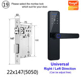 Raykube Biometric Fingerprint Door Lock