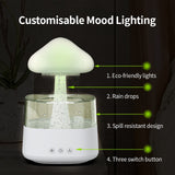 Zen Rain Humidifier