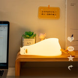 Duck LED Rechargeable Nightlights