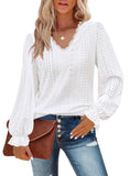 Casual Lace V-neck Long Sleeve Ruffle Women Blouse